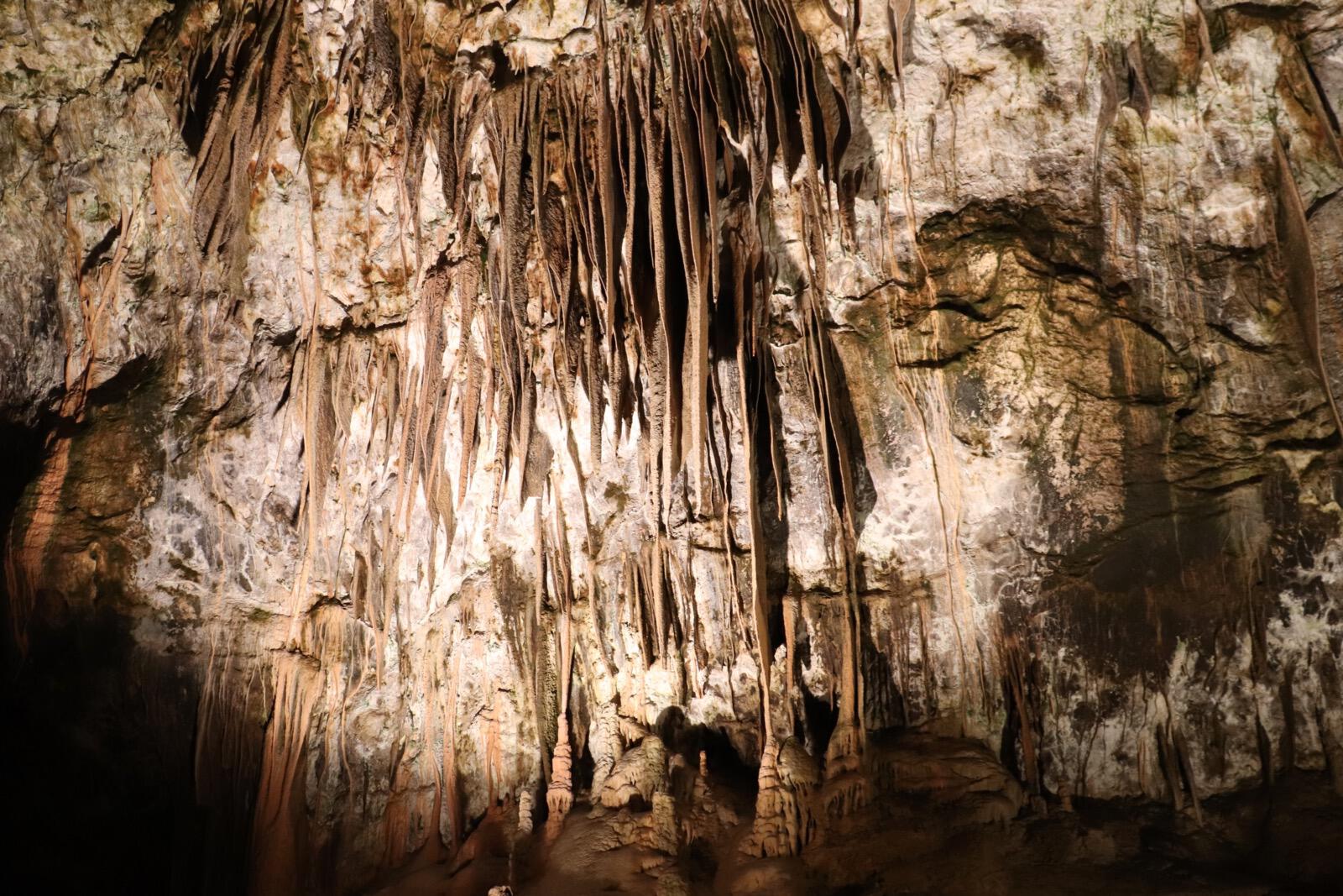 Postojna Cave